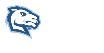 Camels Men's Soccer